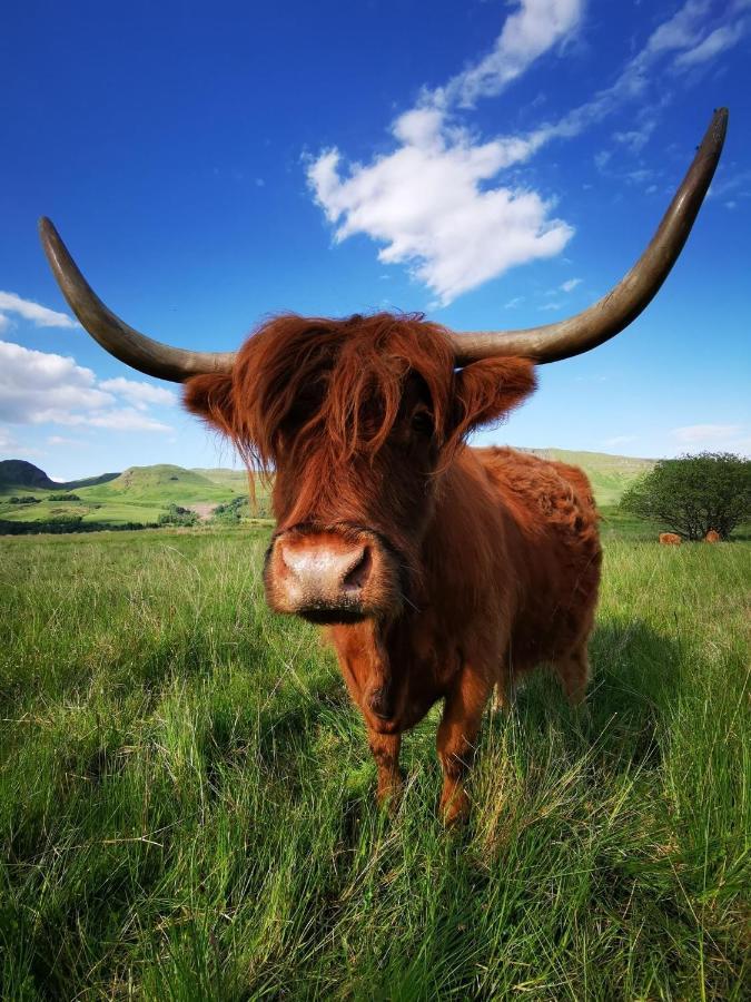 ホテル The West Highland Way Pitches グラスゴー エクステリア 写真